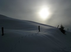 Fonds d'cran Nature Paysage hivernal du Ht-Jura