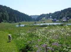 Wallpapers Nature Lac de Lamoura - juillet