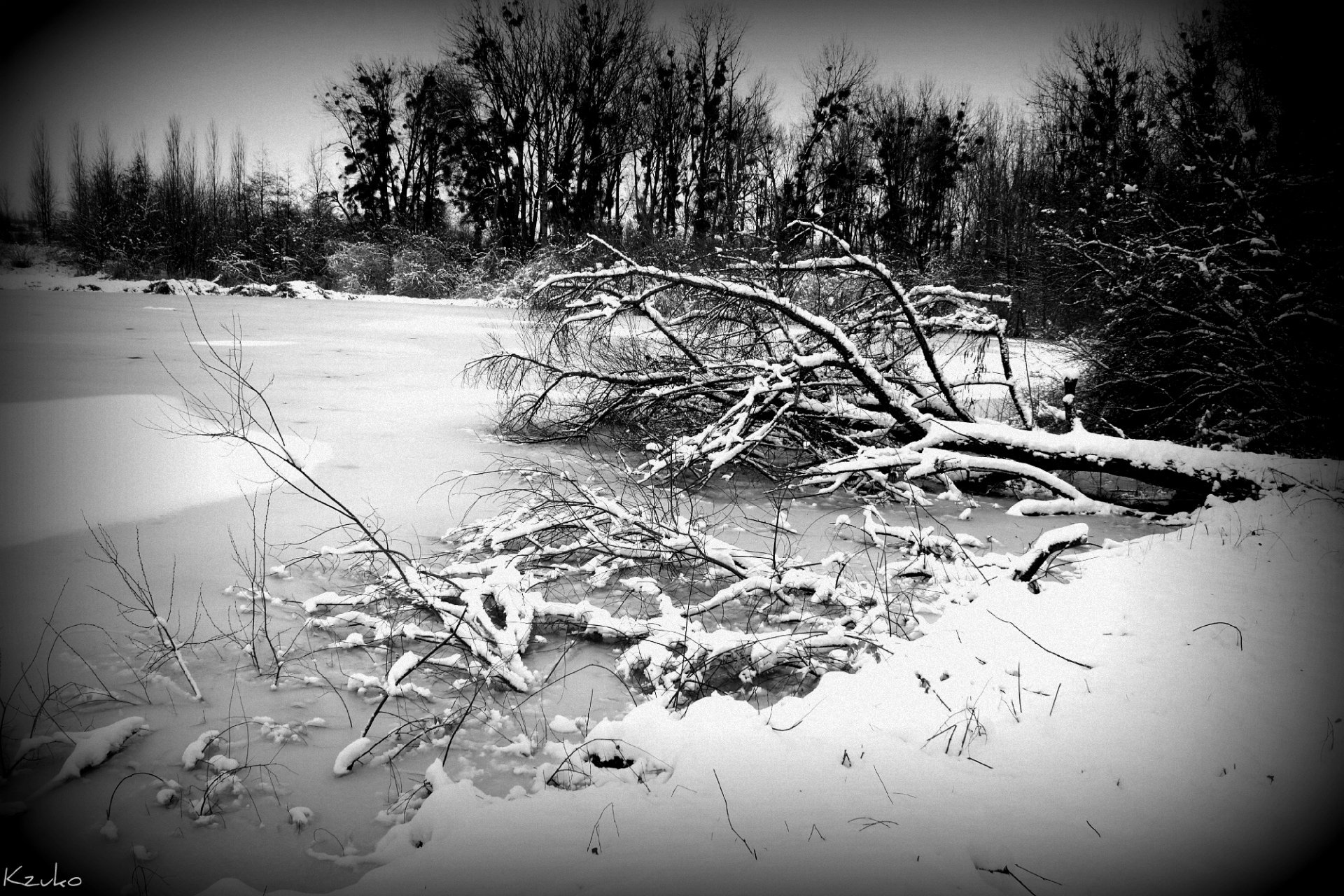 Wallpapers Nature Lakes - Ponds Prison de glace