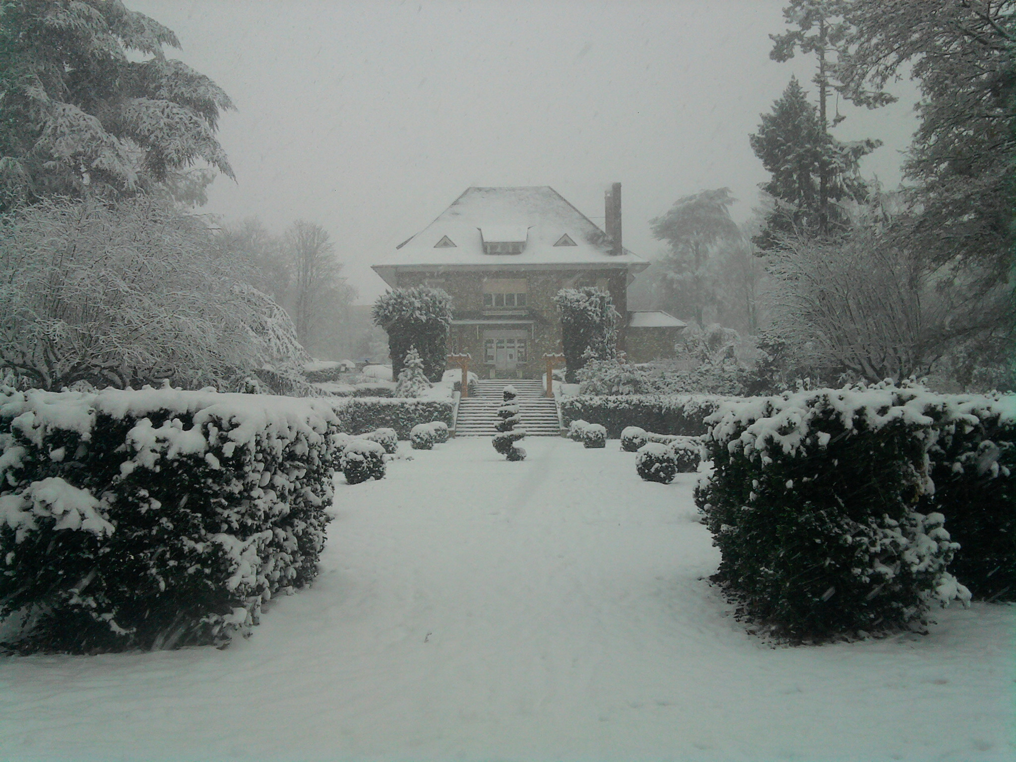 Fonds d'cran Nature Saisons - Hiver J.W Sous le neige