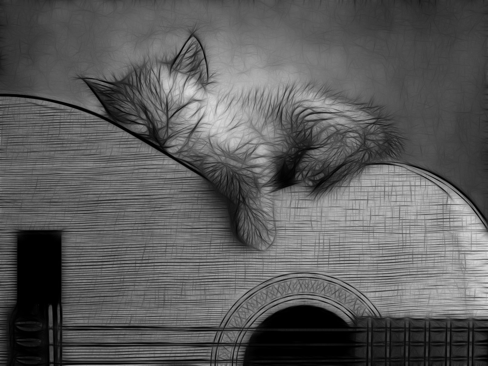 Fonds d'cran Animaux Chats - Chatons Chaton Guitariste