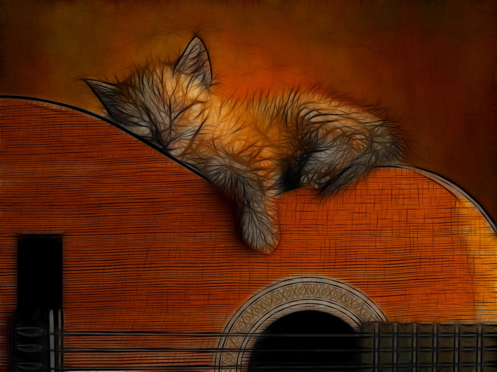 Fonds d'cran Animaux Chats - Chatons Chaton et sa guitare