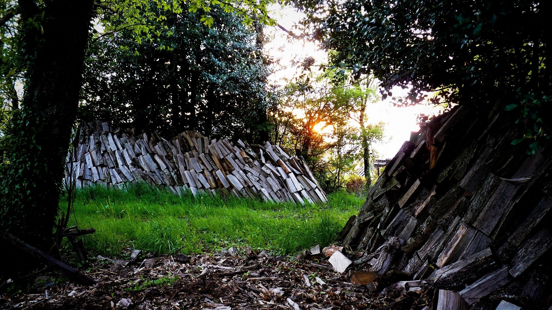 Fonds d'cran Nature Arbres - Forts Bois