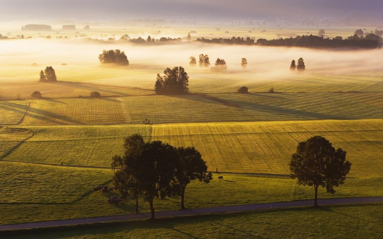 Fonds d'cran Nature Champs - Prairies Wallpaper N273600