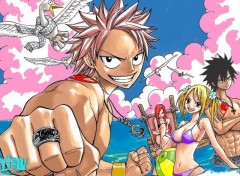 Fonds d'cran Manga natsu 