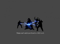 Wallpapers Humor Ninjas can't catch you