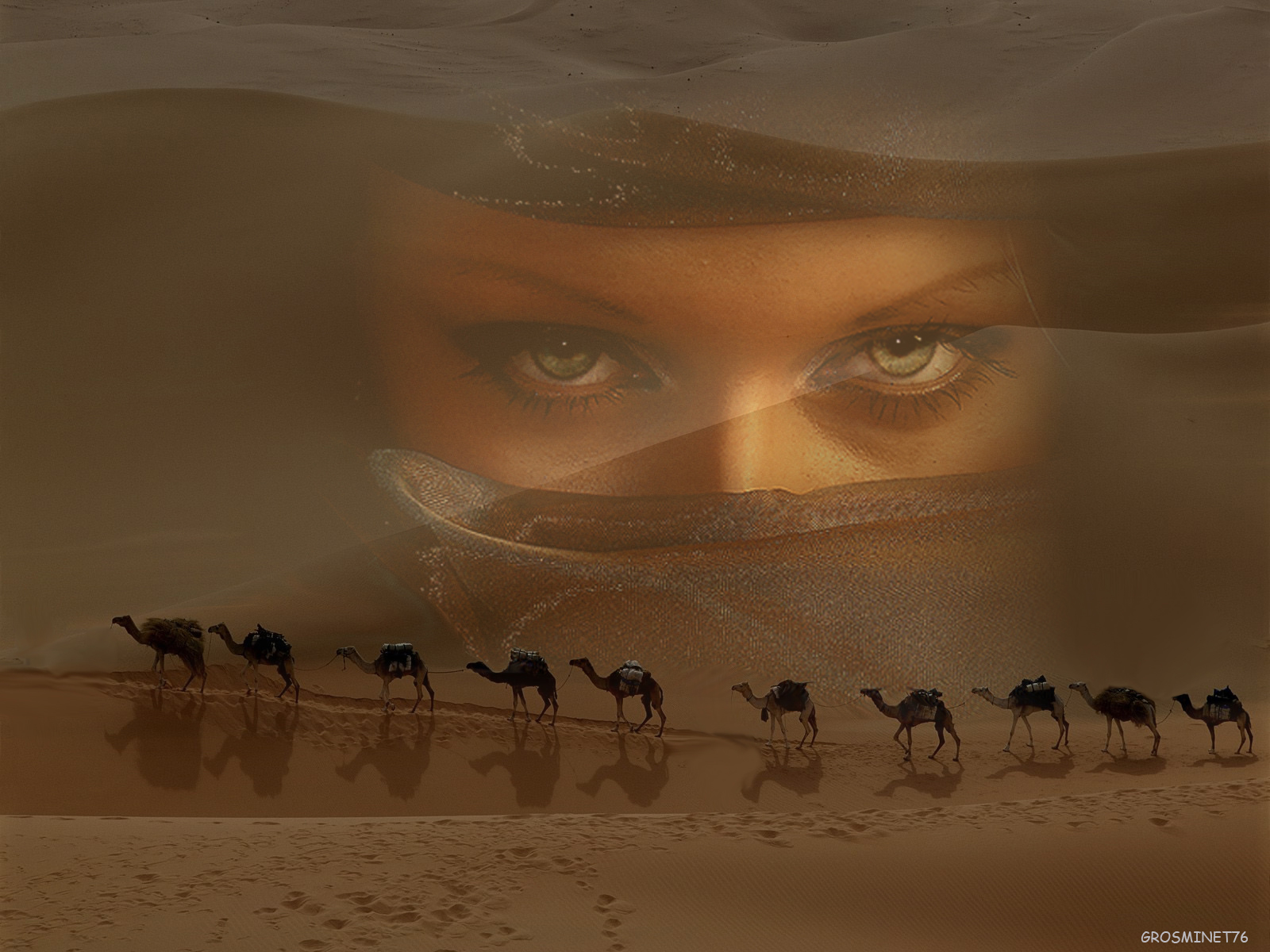 Fonds d'cran Fantasy et Science Fiction Paysages Fantasy les yeux du desert