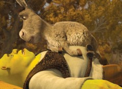 Wallpapers Cartoons Shrek 4 - Il Etait une Fin