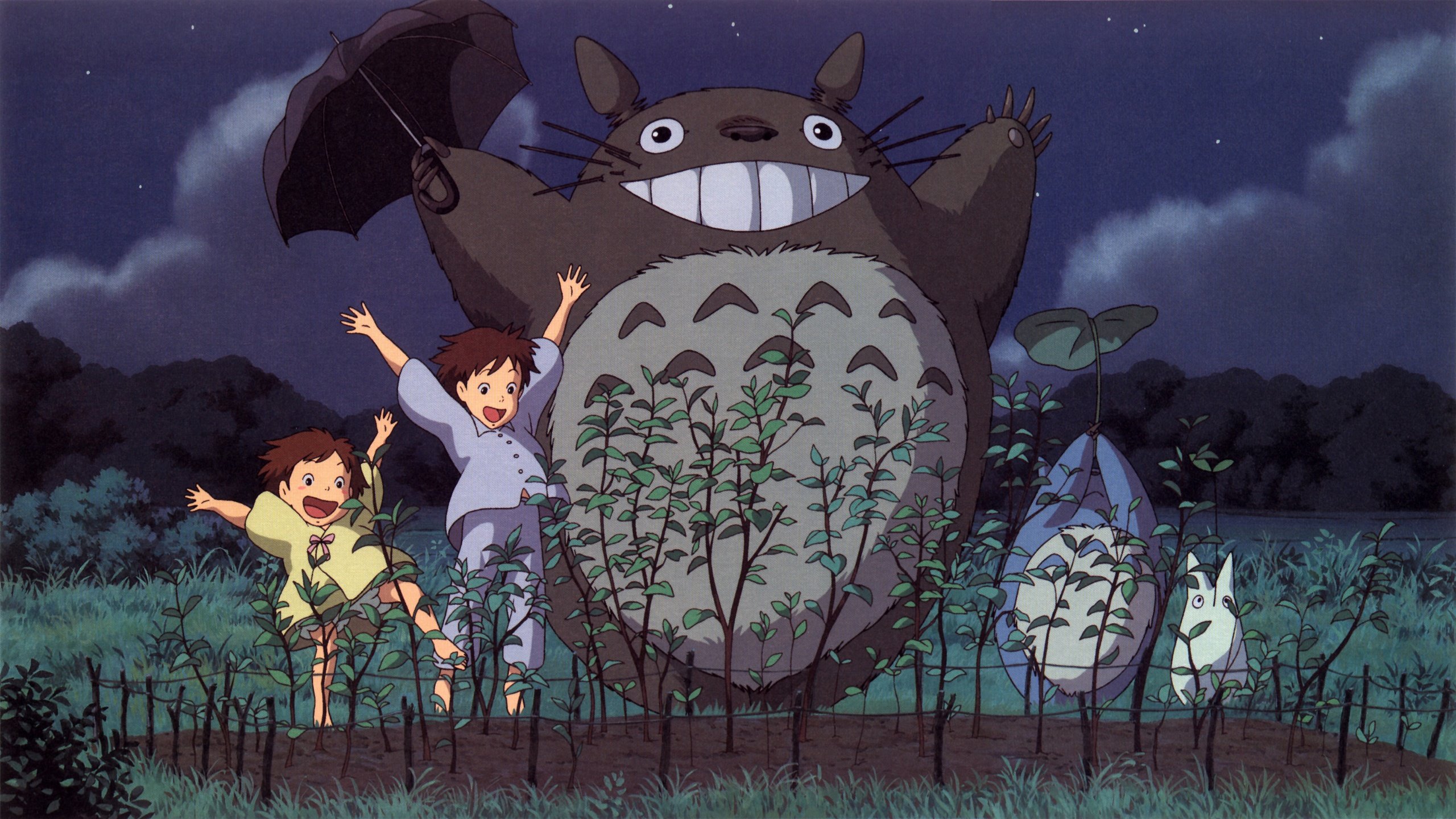 Wallpapers Cartoons My Neighbor Totoro Mon Voisin Totoro