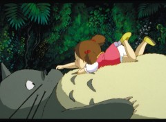 Wallpapers Cartoons Mon Voisin Totoro