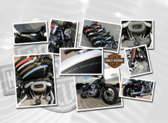 Wallpapers Motorbikes No name picture N273838