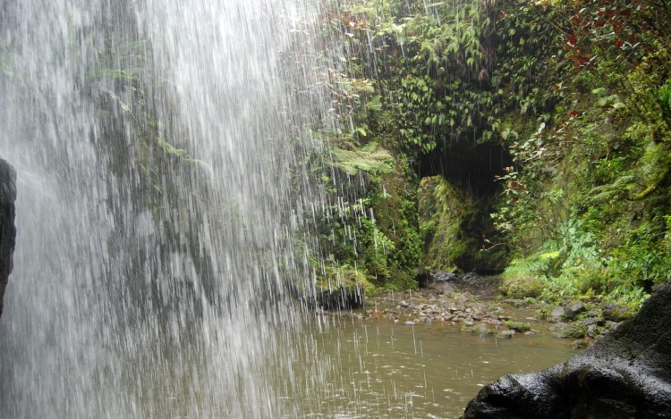 Fonds d'cran Nature Cascades - Chutes Arche de verdure