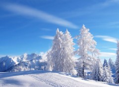 Wallpapers Nature Hiver