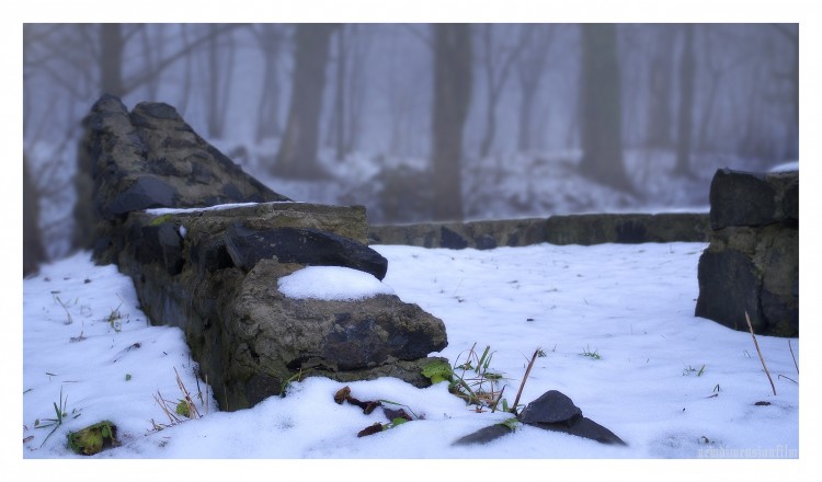 Fonds d'cran Constructions et architecture Ruines - Vestiges ruines dans les bois