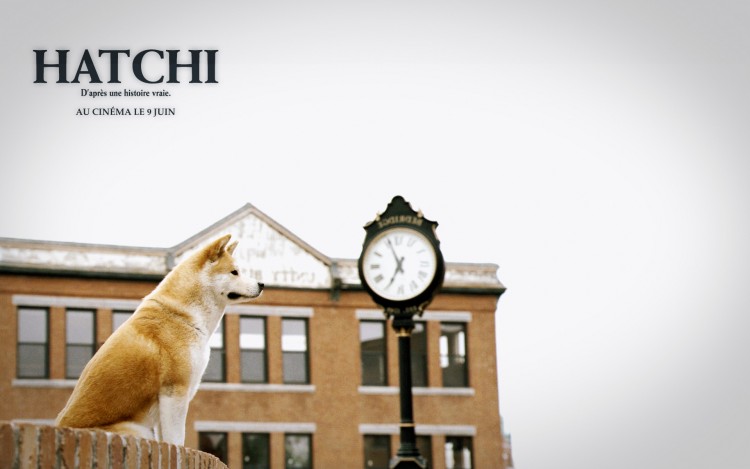 Wallpapers Movies Hatchi Hatchi