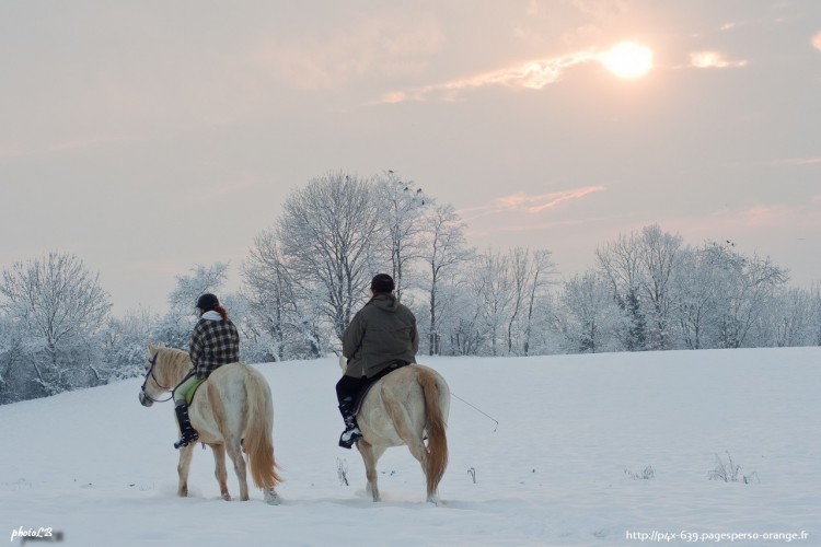 Fonds d'cran Nature Saisons - Hiver balade  cheval dans la neige