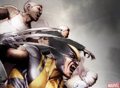 Fonds d'cran Comics et BDs wolverine