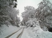 Fonds d'cran Nature Neige dcembre 2010