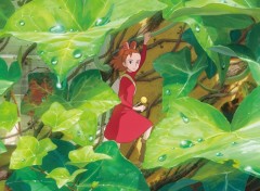 Fonds d'cran Dessins Anims Arrietty le petit monde des chapardeurs