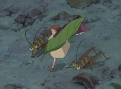 Fonds d'cran Dessins Anims Arrietty le petit monde des chapardeurs