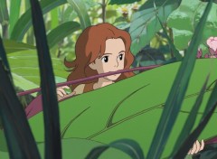 Fonds d'cran Dessins Anims Arrietty le petit monde des chapardeurs