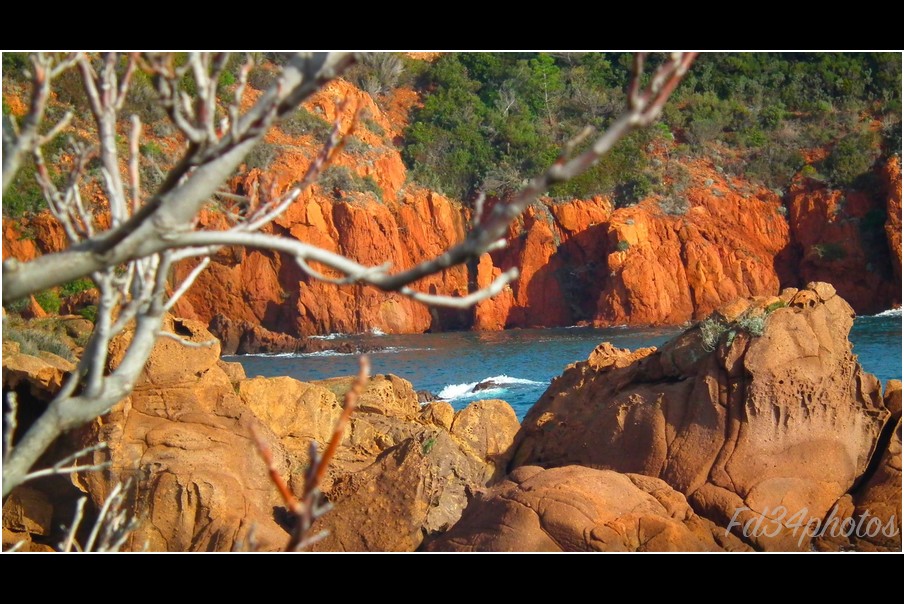 Fonds d'cran Nature Mers - Ocans - Plages Departement du Var