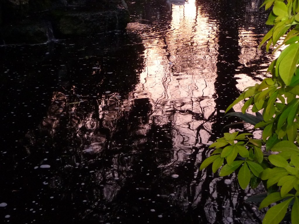 Fonds d'cran Nature Eau - Reflets Des reflets matinaux