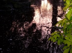 Fonds d'cran Nature Des reflets matinaux