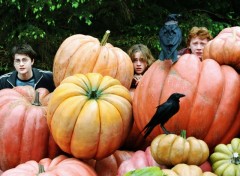 Fonds d'cran Cinma Harry Potter et la Coupe de Feu