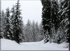 Wallpapers Nature Neige  Courchevel