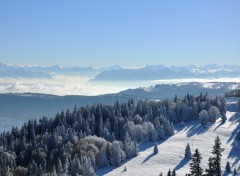 Fonds d'cran Nature Metabief