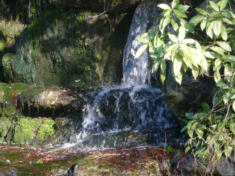 Fonds d'cran Nature Cascades - Chutes Au coeur de la cascade