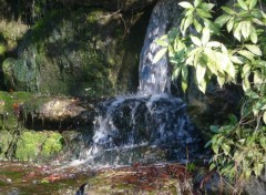 Fonds d'cran Nature Au coeur de la cascade