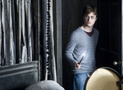 Fonds d'cran Cinma Harry Potter et les Reliques de la Mort