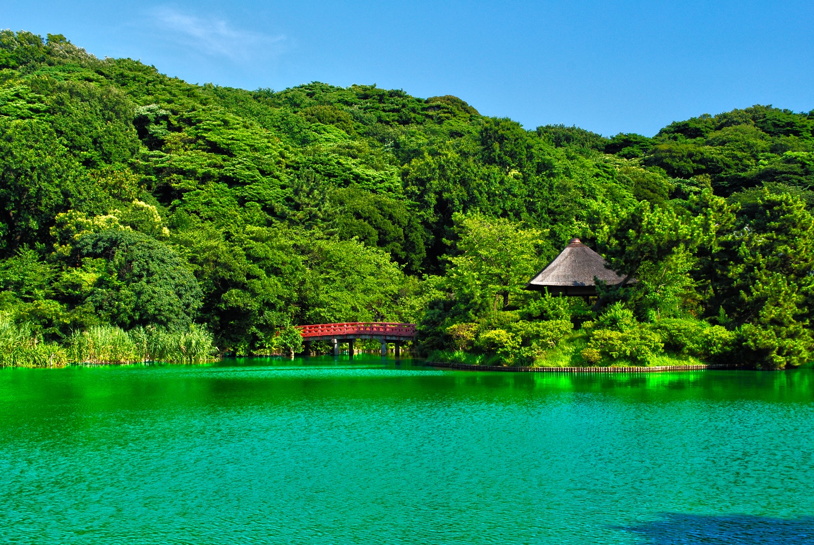 Fonds d'cran Voyages : Asie Japon Sankeien Garden - Yokohama