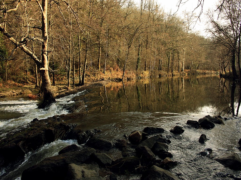 Fonds d'cran Nature Lacs - Etangs 