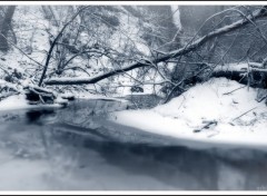 Fonds d'cran Nature D'hiver, le froid et calme.