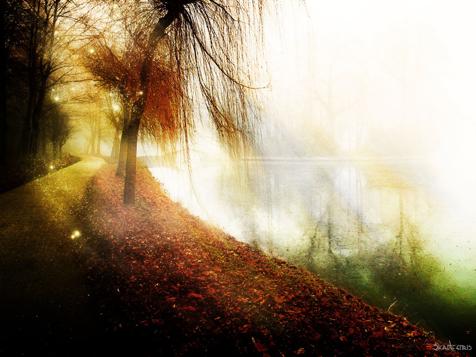 Wallpapers Digital Art Nature - Miscellaneous Le chemin