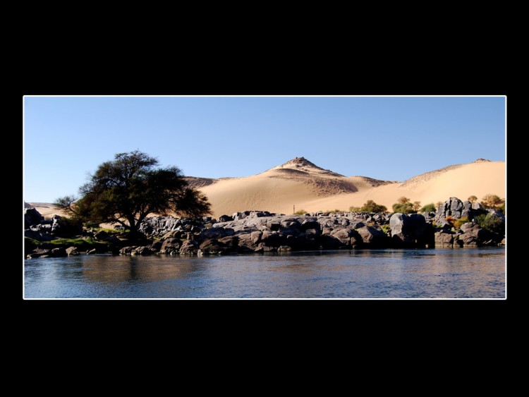 Fonds d'cran Voyages : Afrique Egypte WATER TREE DUNE