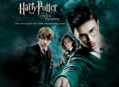 Wallpapers Movies Harry Potter et le Prince de Sang-Ml