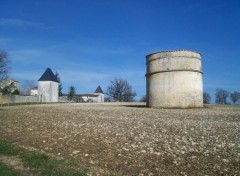 Fonds d'cran Constructions et architecture Chteau de Lalard et son pigeonnier, St Hilaire de Villefranche 17770 