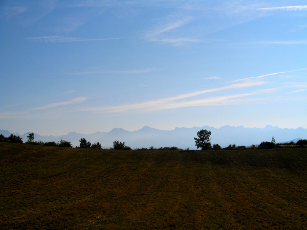 Wallpapers Nature Fields Champ & ciel