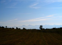 Fonds d'cran Nature Champ & ciel