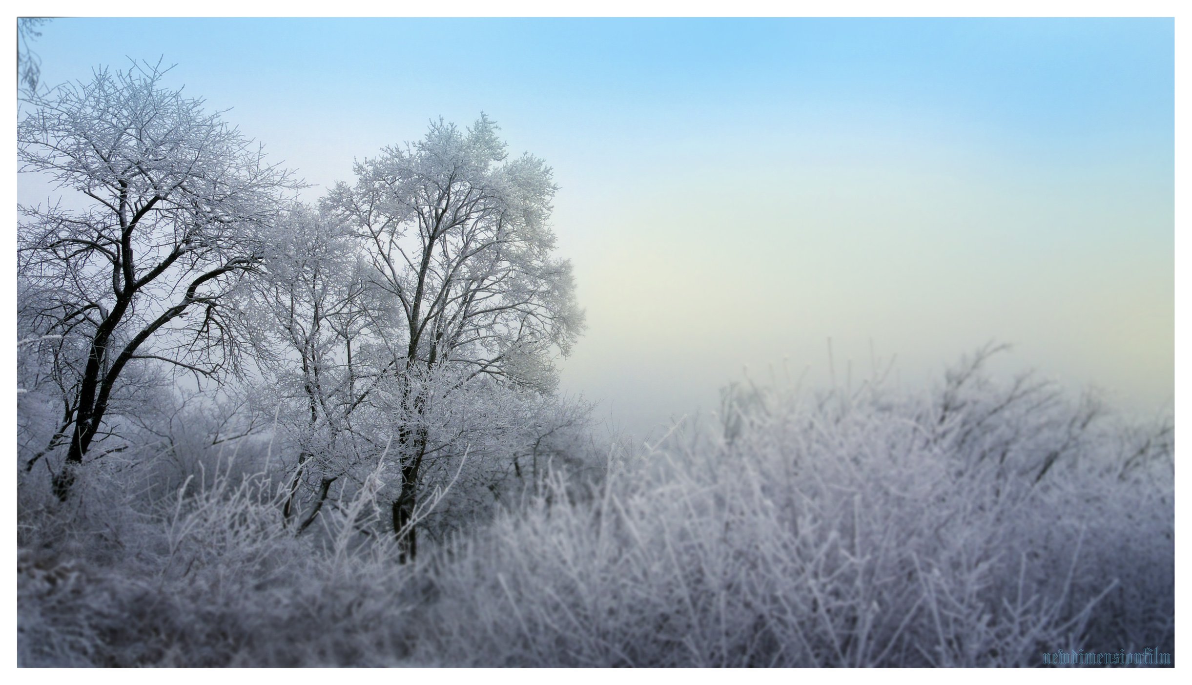 Fonds d'cran Nature Saisons - Hiver D\'hiver, le froid et calme.2.