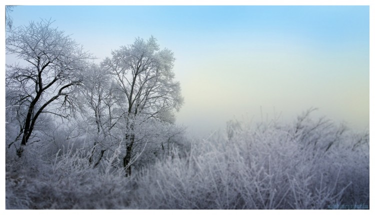 Wallpapers Nature Saisons - Winter D'hiver, le froid et calme.2.