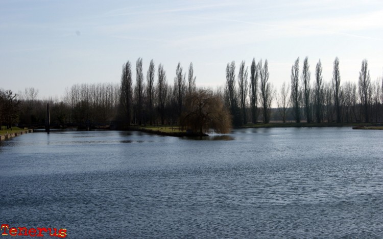 Fonds d'cran Nature Lacs - Etangs Saule pleureur