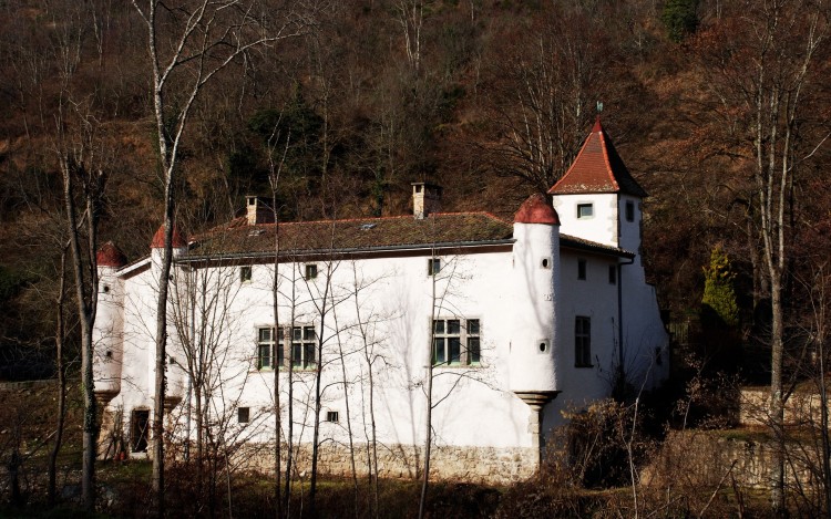 Fonds d'cran Constructions et architecture Chteaux - Palais chateau de Vauberet a Montbrison ; Loire 42