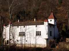 Fonds d'cran Constructions et architecture chateau de Vauberet a Montbrison ; Loire 42