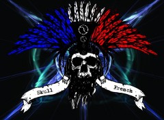 Wallpapers Digital Art Skull French + fond Flash