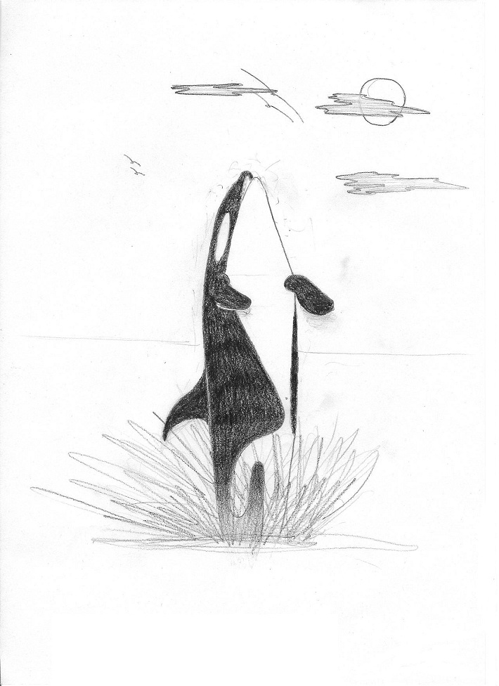 Wallpapers Art - Pencil Animals - Orcas Orque bondissant